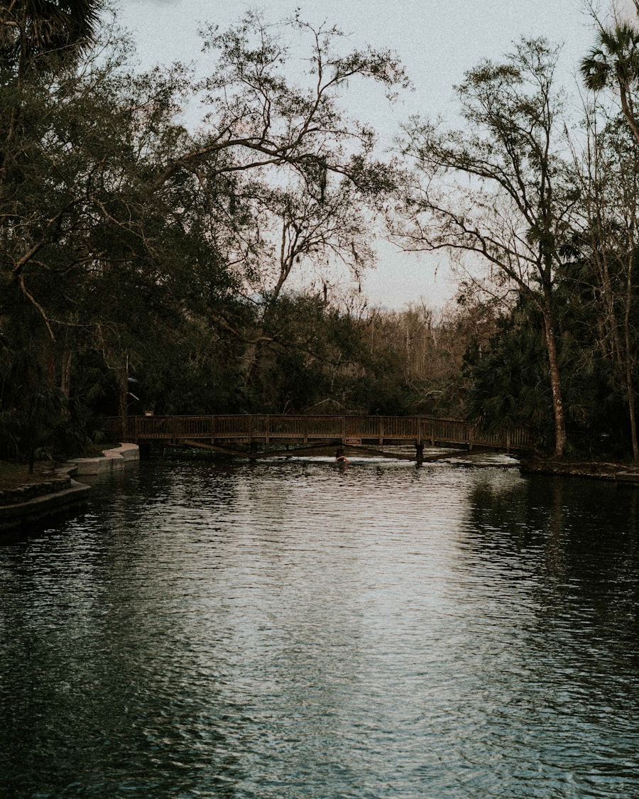 Wooded lakefront in west Orange County near Winter Garden, Florida