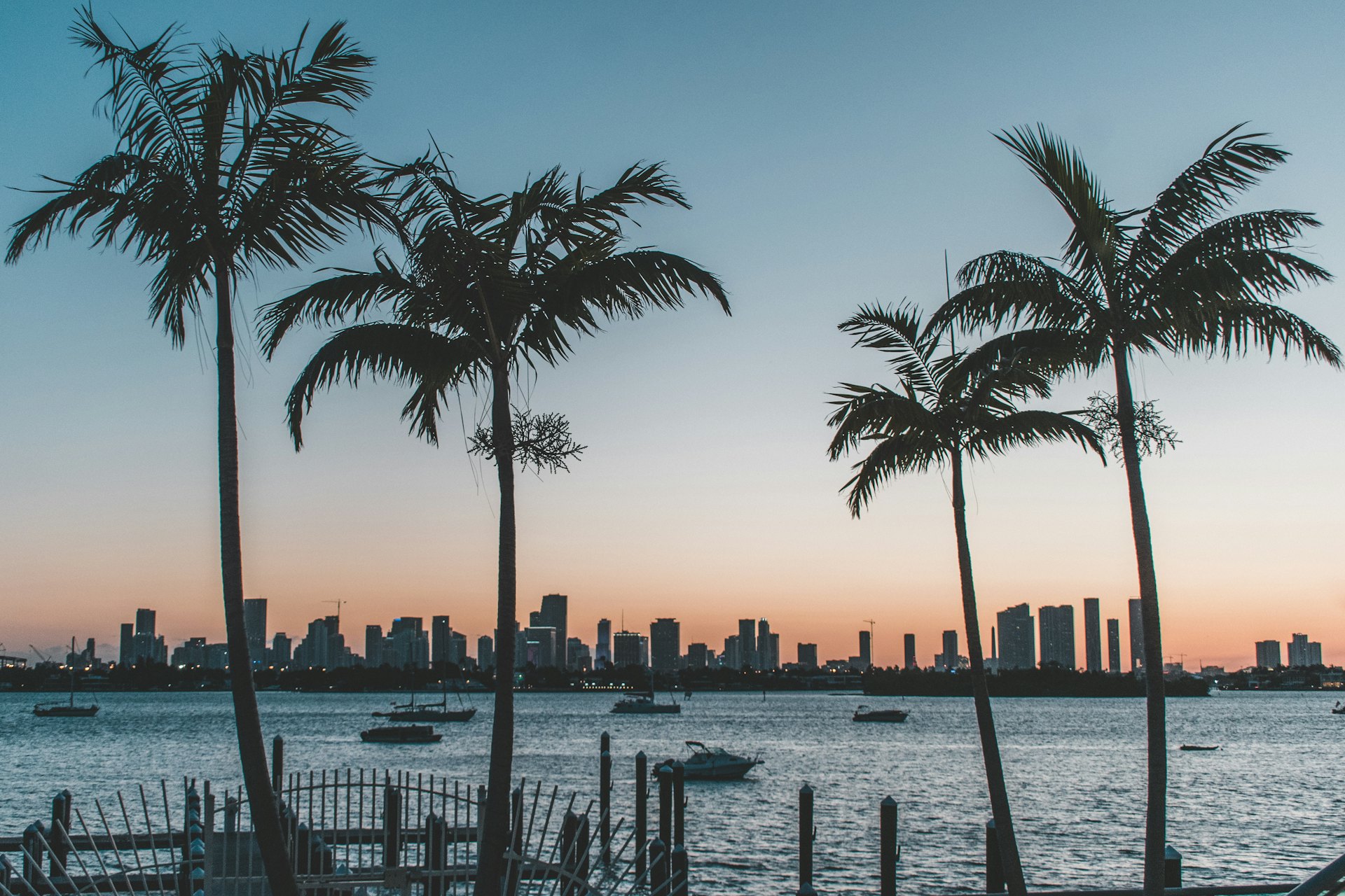 Florida coast palm trees at sunset
