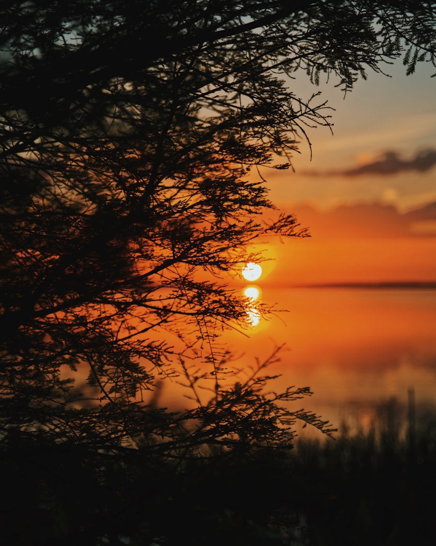 Sunset over Lake Apopka in northwest Orange County, Florida